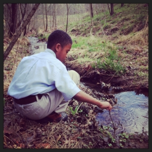 Pond discovery